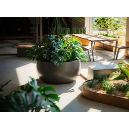 Pfanzgefäß Lora aus Fiberglas - umbragrau - 1200 x 600 mm