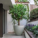 Pflanzgefäß Liv aus Beton/Polymer - chalk - Ø 400 x 800 mm