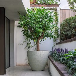 Pflanzgefäß Liv aus Beton/Polymer - chalk - Ø 400 x 800 mm