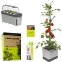 GUSTA GARDEN TOM TOMATO Starter Set - Hellgrau