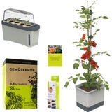 GUSTA GARDEN TOM TOMATO Starter Set