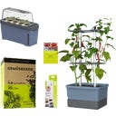GUSTA GARDEN CHARLY CHILI Starter Set - Bleu