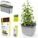 GUSTA GARDEN Herbal Power Set - Gris claro