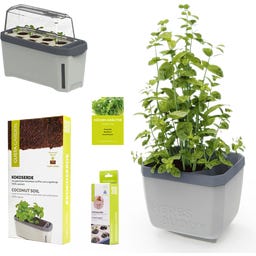 GUSTA GARDEN Herbal Power Set - 