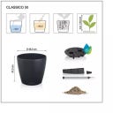 Lechuza CLASSICO Color 50