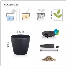 Lechuza CLASSICO Color 50