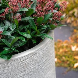 Pflanzgefäß Kivo aus Beton/Polymer - chalk - Ø 500 x 800 mm