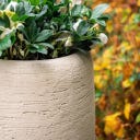 Pflanzgefäß Moya aus Beton/Polymer - chalk - Ø 400 x 800 mm