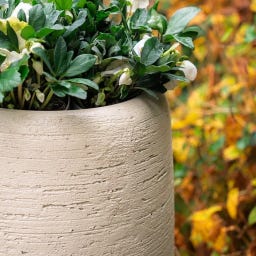 Pflanzgefäß Moya aus Beton/Polymer - chalk - Ø 400 x 800 mm