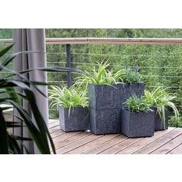 Sierra Square Beton Effect cvetlični lonec - 