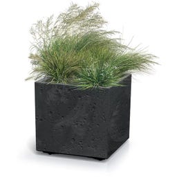 Sierra Square Beton Effect cvetlični lonec - 