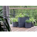 Sierra Case Beton Effect cvetlično korito, marengo siva - 57,7 x 28,8 cm