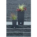 Rato Square High cvetlični lonec, antracit - 29x29x55 cm