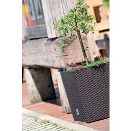 Prosperplast Rato Low cvetlični lonec, antracit - 20x20 cm