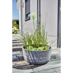 HEISSNER Jardin Aquatique Solaire - Aquatopia - 46 x 46 x 21 cm