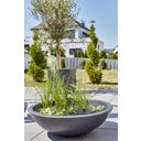 HEISSNER Jardin Aquatique Solaire - Lotusgarden - 58 x 58 x 19 cm