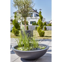 HEISSNER Jardin Aquatique Solaire - Lotusgarden - 58 x 58 x 19 cm