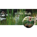 HEISSNER Panier pour Plantes Carré - 19 x 19 x 9 cm