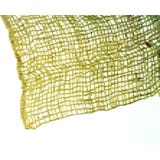 Tapis de Plantation de Berge 50 x 1 m / 50 m&sup2;