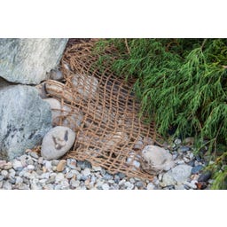 Tapis de Plantation de Berge 50 x 1 m / 50 m² - 1 pcs