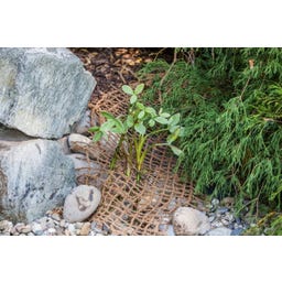 Tapis de Plantation de Berge 50 x 1 m / 50 m² - 1 pcs