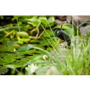 HEISSNER Telecamera WiFi - Smart Garden Cam - 1 pz.