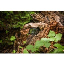 HEISSNER Telecamera WiFi - Smart Garden Cam - 1 pz.