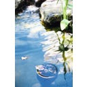 Skimmer di Superficie su Base - Profiline 35 x 35 x 83 cm - 1 pz.
