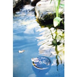 Skimmer di Superficie su Base - Profiline 35 x 35 x 83 cm - 1 pz.