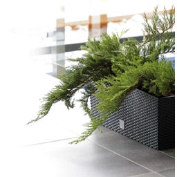 Blumentopf Rato Case inkl. Bewässerungssystem - Anthrazit - L 51,4 cm