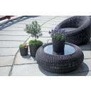 Prosperplast Blumentopf Rato Round - Braun - ⌀ 25 cm