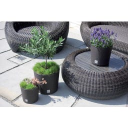 Prosperplast Blumentopf Rato Round - Braun - ⌀ 25 cm