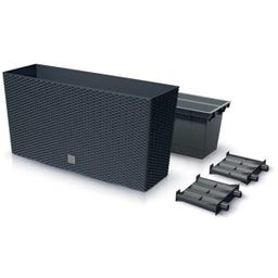 Blumenkasten Rato Case M mit Pflanzeinsatz - 77 x 23,5 cm - Anthrazit