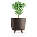 Blumentopf Gracia Tubus ECO Wood I Kaffee - 1 Stk.