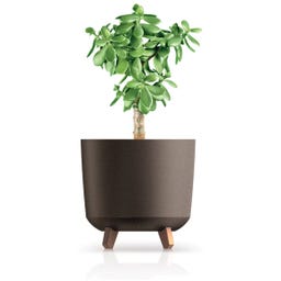 Blumentopf Gracia Tubus ECO Wood I Kaffee - 1 Stk.