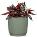 Scheurich Plano Übertopf Matt Sage - Ø 13 cm