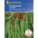 Kiepenkerl Runner Beans "Red Flowering"