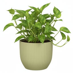 Scheurich Nova Übertopf Gentle Green - Ø 13 cm