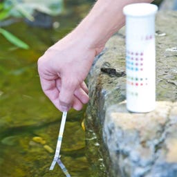Set Test Rapido per Acqua del Laghetto 6 in 1 - 1 pz.