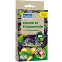 Kwizda Naturid Plum Moth Attractant - 2 Capsules