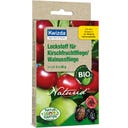 Appât Mouche de la Cerise / Mouche du Noyer 