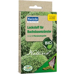 Kwizda Naturid Lockstoff Buchsbaumzünsler - 2 Kapseln