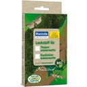 Kwizda Naturid Thuja Leaf Miner Attractant - 1 Capsule