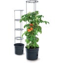 Prosperplast Anzuchttopf für Tomaten mit Rankhilfe - ⌀ 29,5 cm I 12 Liter