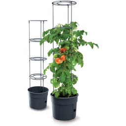 Prosperplast Anzuchttopf für Tomaten mit Rankhilfe - ⌀ 29,5 cm I 12 Liter
