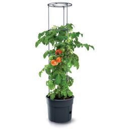 Prosperplast Anzuchttopf für Tomaten mit Rankhilfe - ⌀ 29,5 cm I 12 Liter