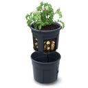 Prosperplast Anzuchttopf für Kartoffeln - 2 in 1 - ⌀ 29,5 cm