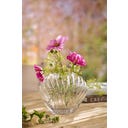 Ib Laursen Vase muschelförmig aus Glas - 1 Stk.