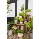 Ib Laursen Topf - moosgrün