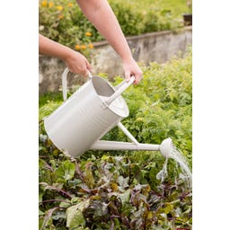 IB Laursen Regador com Chuveiro - 11 L - Bege